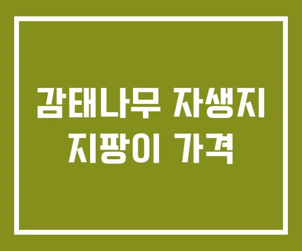 감태나무 자생지 지팡이 가격