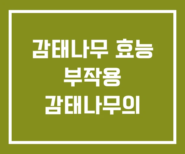 감태나무 효능 부작용 감태나무의 감태나무 효능 부작용 감태나무의