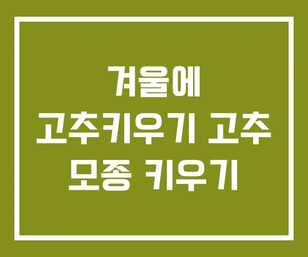 겨울에 고추키우기 고추 모종 키우기