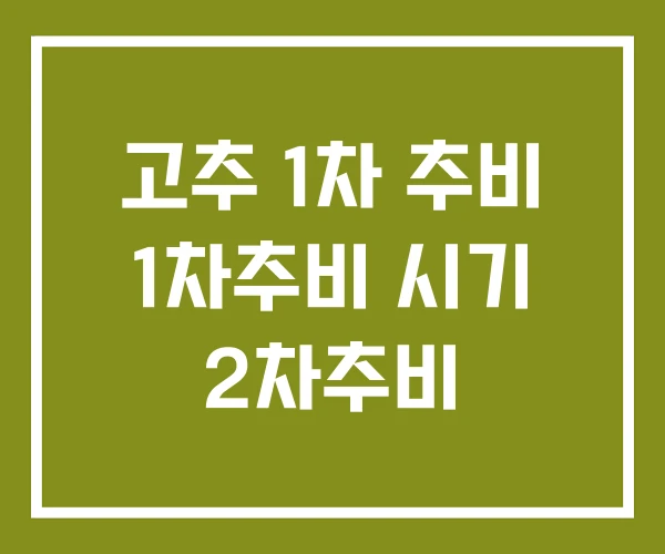고추 1차 추비 1차추비 시기 2차추비