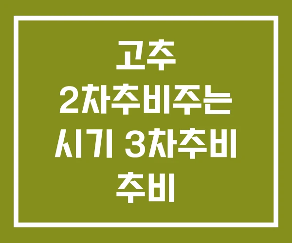 고추 2차추비주는 시기 3차추비 추비