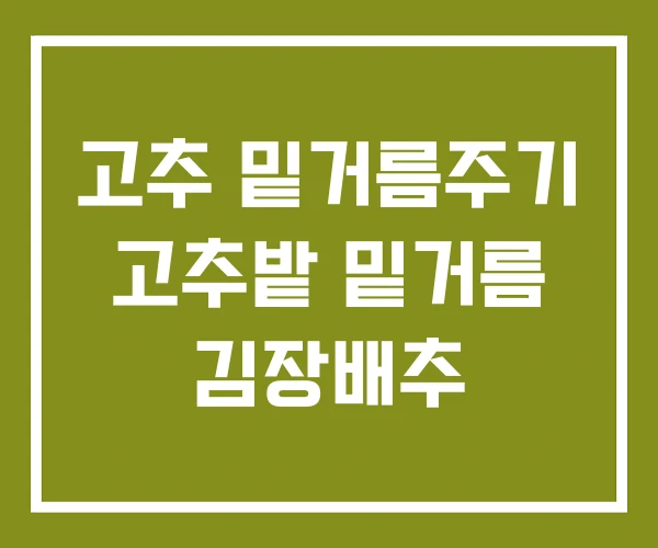 고추 밑거름주기 고추밭 밑거름 김장배추