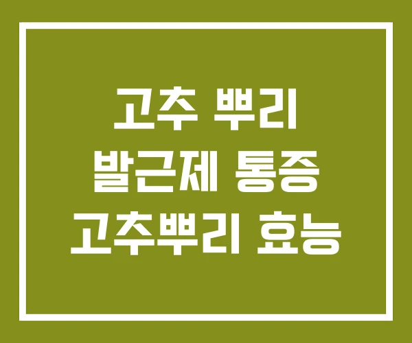 고추 뿌리 발근제 통증 고추뿌리 효능