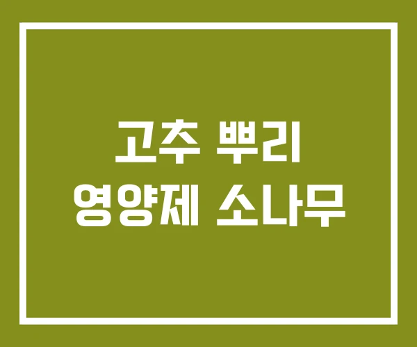 고추 뿌리 영양제 소나무