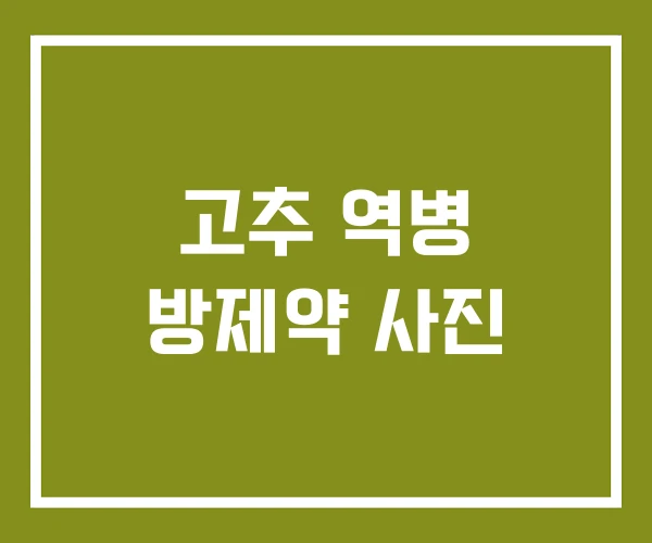 고추 역병 방제약 사진