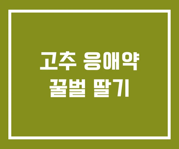 고추 응애약 꿀벌 딸기