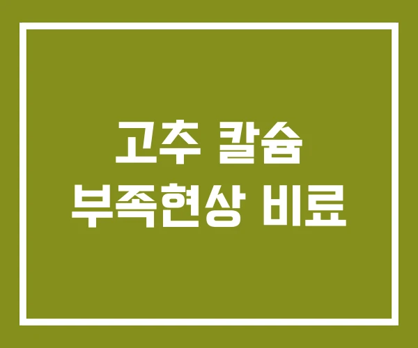 고추 칼슘 부족현상 비료