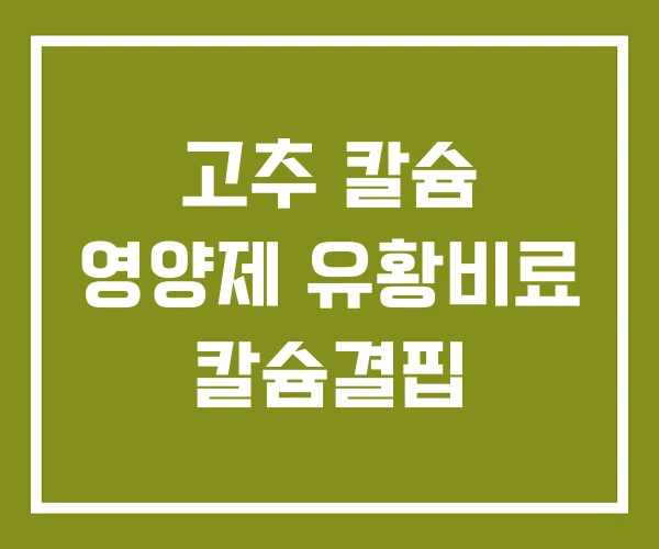 고추 칼슘 영양제 유황비료 칼슘결핍