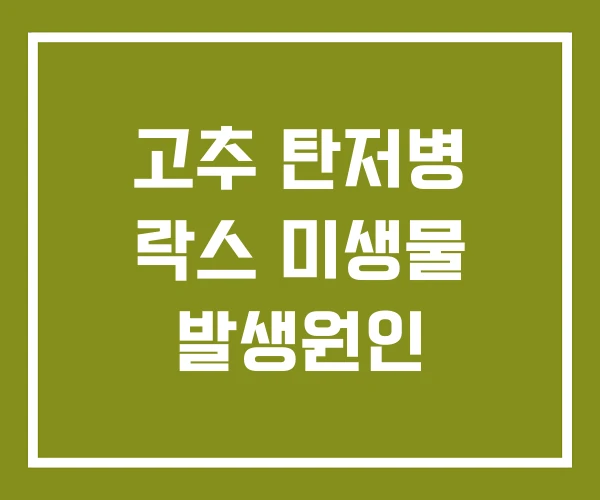 고추 탄저병 락스 미생물 발생원인