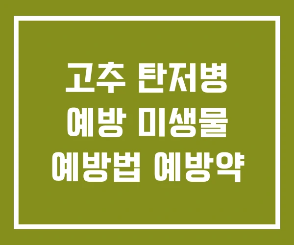 고추 탄저병 예방 미생물 예방법 예방약