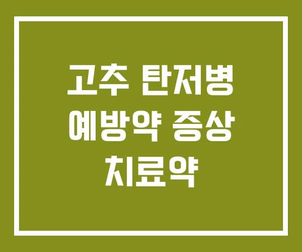 고추 탄저병 예방약 증상 치료약