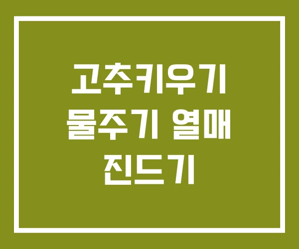 고추키우기 물주기 열매 진드기