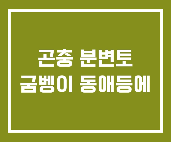 곤충 분변토 굼벵이 동애등에