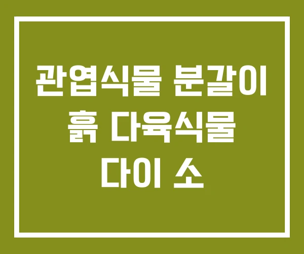 관엽식물 분갈이 흙 다육식물 다이 소