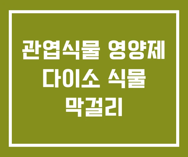 관엽식물 영양제 다이소 식물 막걸리