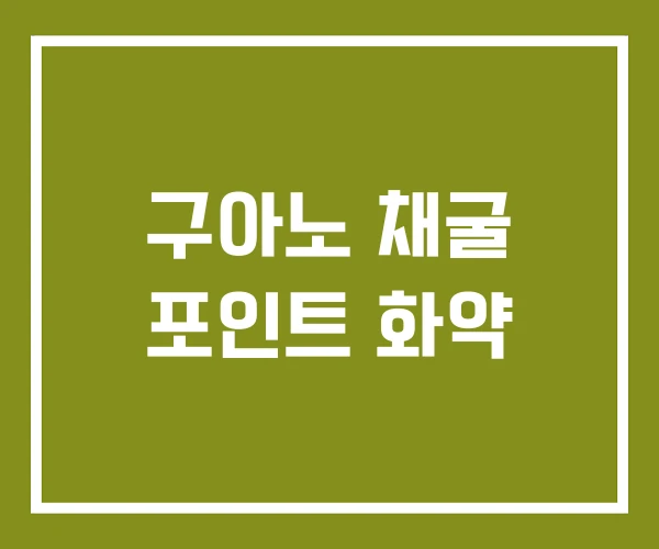 구아노 채굴 포인트 화약