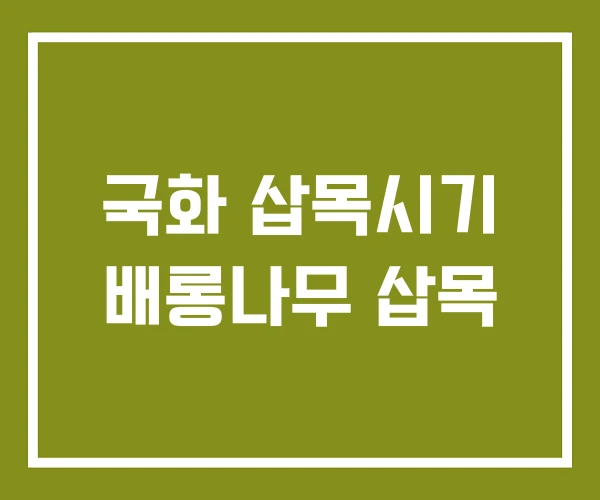 국화 삽목시기 배롱나무 삽목