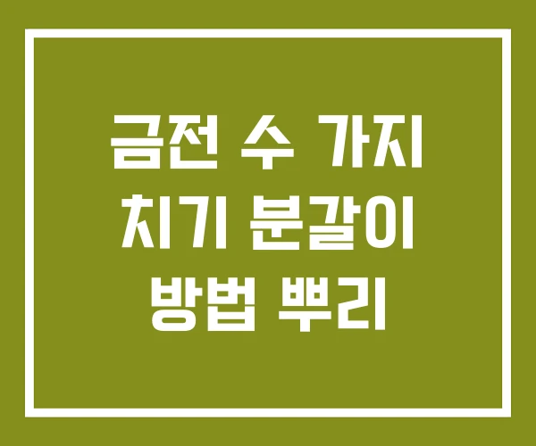 금전 수 가지 치기 분갈이 방법 뿌리