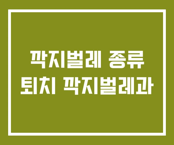 깍지벌레 종류 퇴치 깍지벌레과
