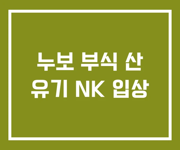 누보 부식 산 유기 NK 입상