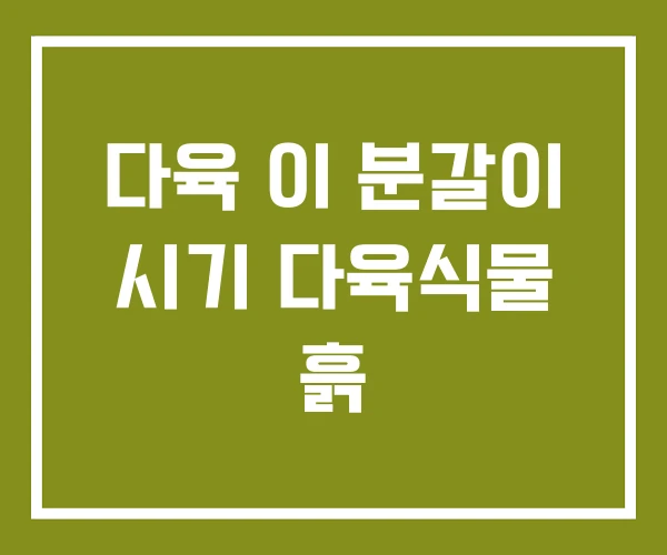 다육 이 분갈이 시기 다육식물 흙