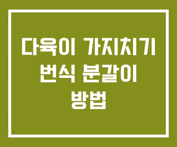 다육이 가지치기 번식 분갈이 방법