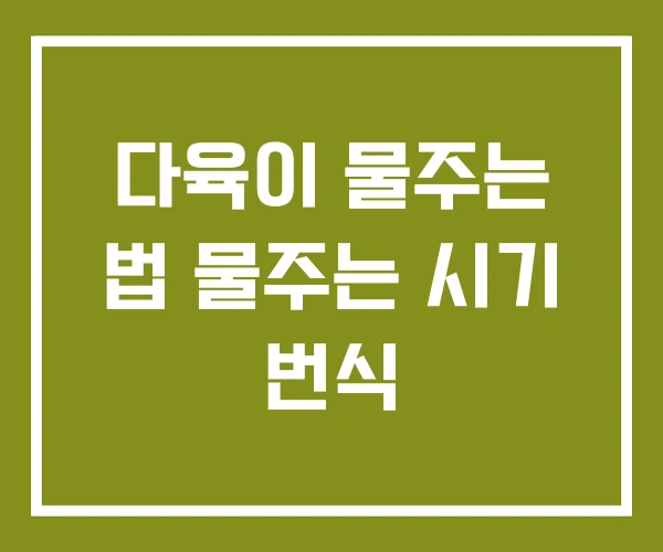 다육이 물주는 법 물주는 시기 번식