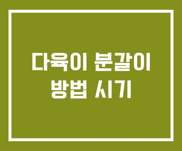 다육이 분갈이 방법 시기