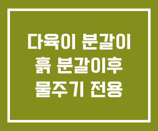 다육이 분갈이 흙 분갈이후 물주기 전용