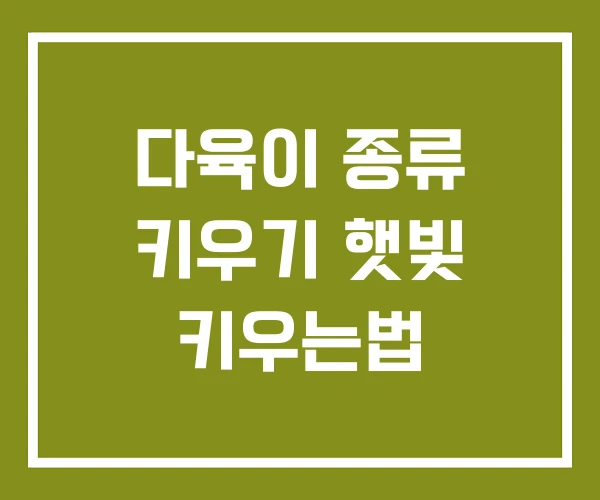 다육이 종류 키우기 햇빛 키우는법