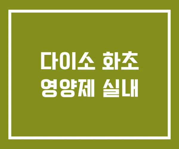 다이소 화초 영양제 실내