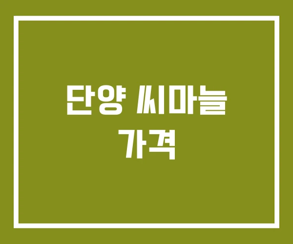 단양 씨마늘 가격