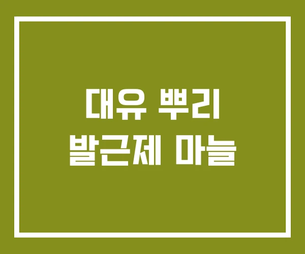 대유 뿌리 발근제 마늘