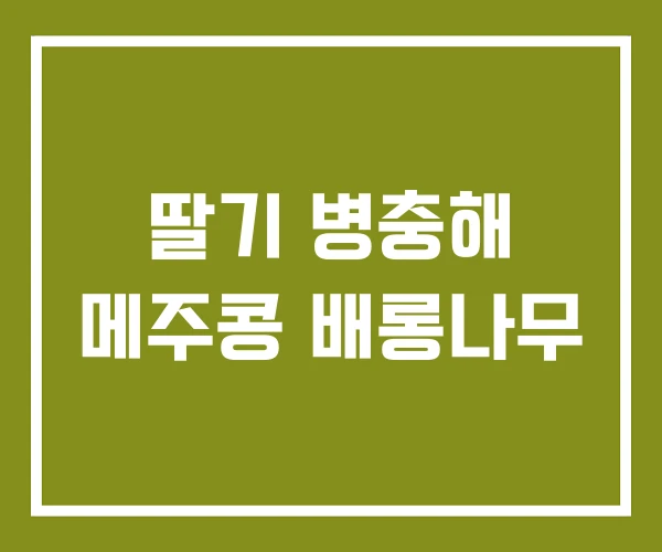 딸기 병충해 메주콩 배롱나무