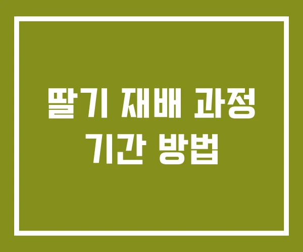딸기 재배 과정 기간 방법