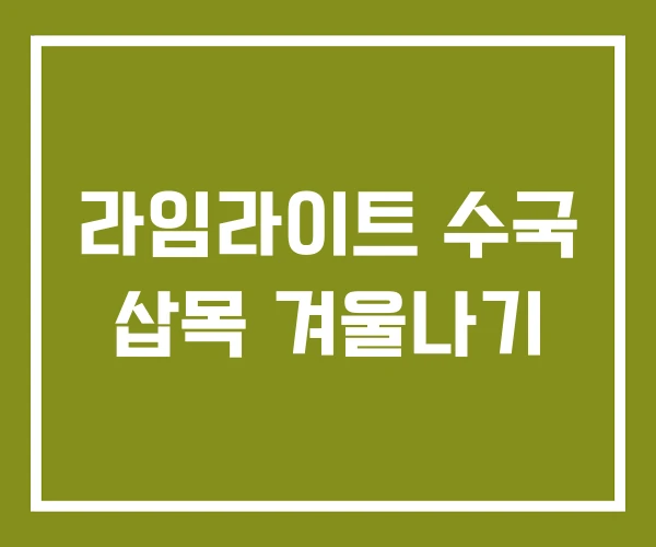 라임라이트 수국 삽목 겨울나기
