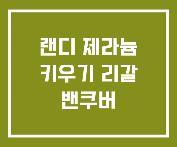 랜디 제라늄 키우기 리갈 밴쿠버