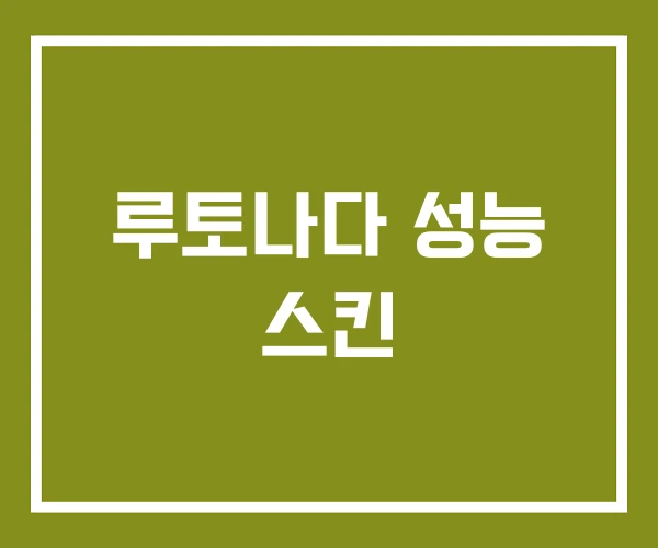 루토나다 성능 스킨