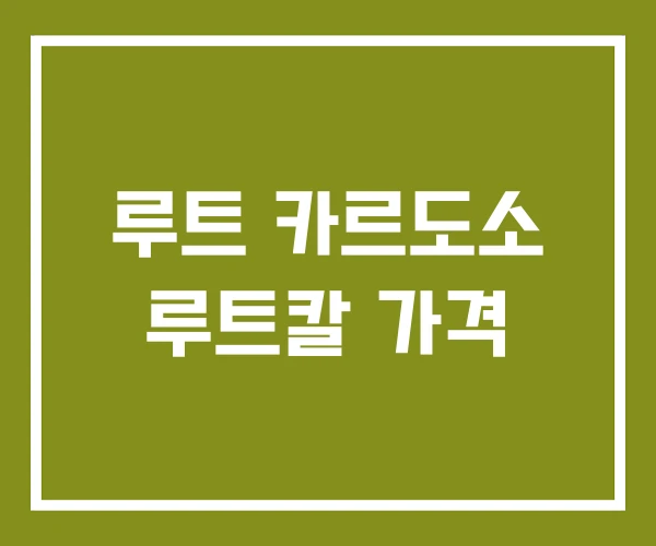 루트 카르도소 루트칼 가격