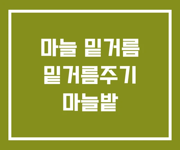 마늘 밑거름 밑거름주기 마늘밭