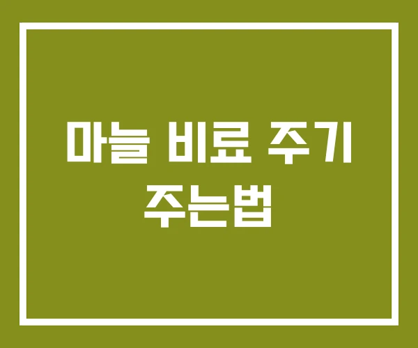 마늘 비료 주기 주는법