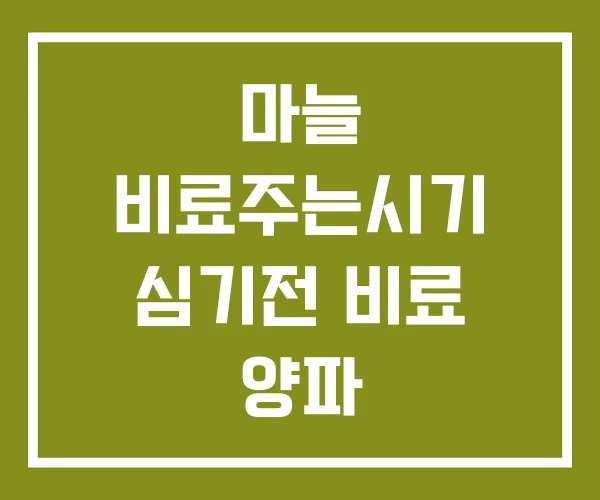 마늘 비료주는시기 심기전 비료 양파