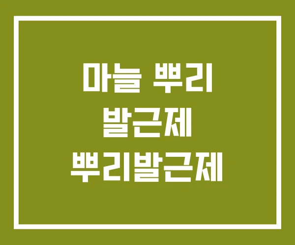 마늘 뿌리 발근제 뿌리발근제