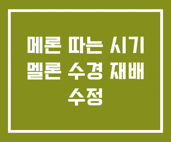 메론 따는 시기 멜론 수경 재배 수정