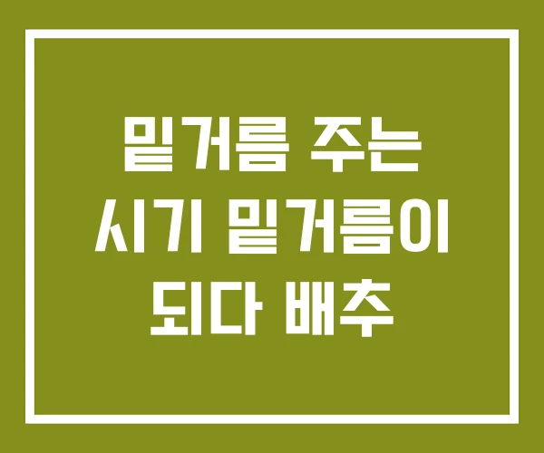 밑거름 주는 시기 밑거름이 되다 배추