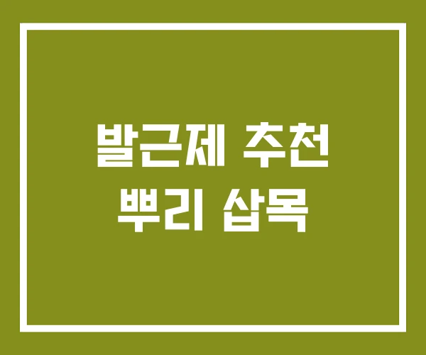 발근제 추천 뿌리 삽목