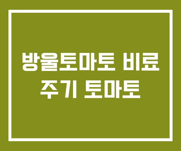 방울토마토 비료 주기 토마토 방울토마토 비료 주기 토마토
