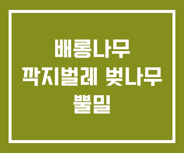 배롱나무 깍지벌레 벚나무 뿔밀