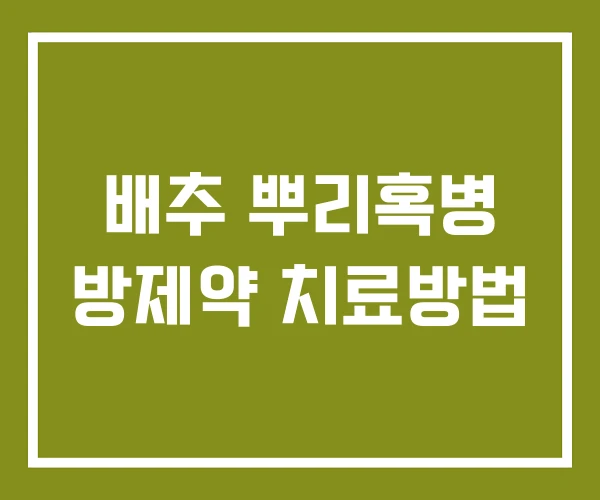 배추 뿌리혹병 방제약 치료방법