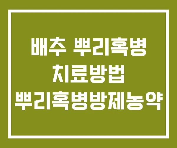 배추 뿌리혹병 치료방법 뿌리혹병방제농약